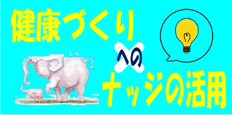 案内チラシ